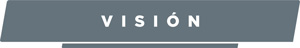 MFVIS